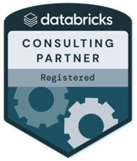 Databricks Partner